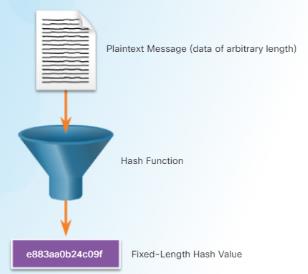 Data Hash